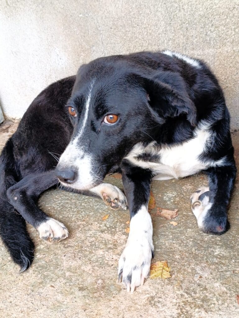 WhatsApp Image 2026-01-08 at 21.09.52