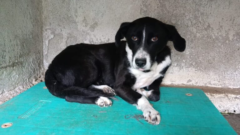 WhatsApp Image 2026-01-08 at 21.09.53