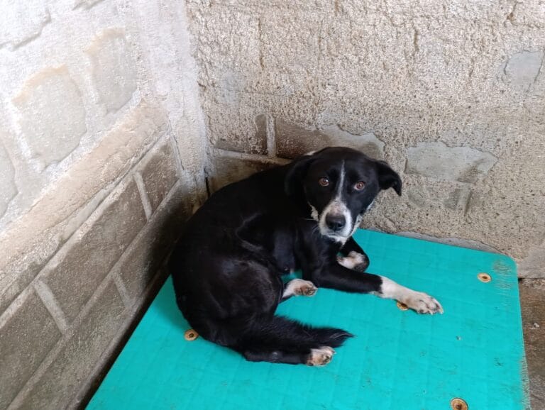 WhatsApp Image 2026-01-08 at 21.10.05 (1)