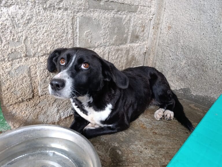 WhatsApp Image 2026-01-08 at 21.10.05