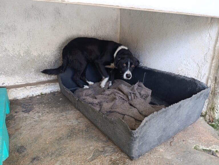 WhatsApp Image 2026-01-08 at 21.10.06 (1)