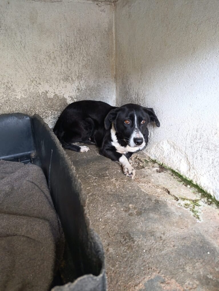 WhatsApp Image 2026-01-08 at 21.10.06