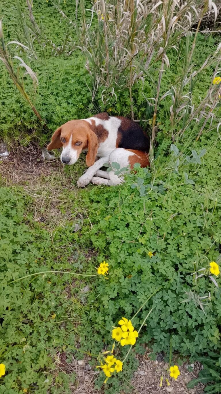 WhatsApp Image 2026-01-13 at 10.23.07