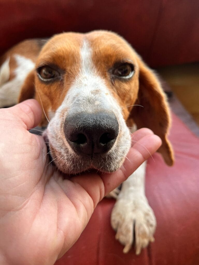 WhatsApp Image 2026-01-13 at 10.23.08 (4)