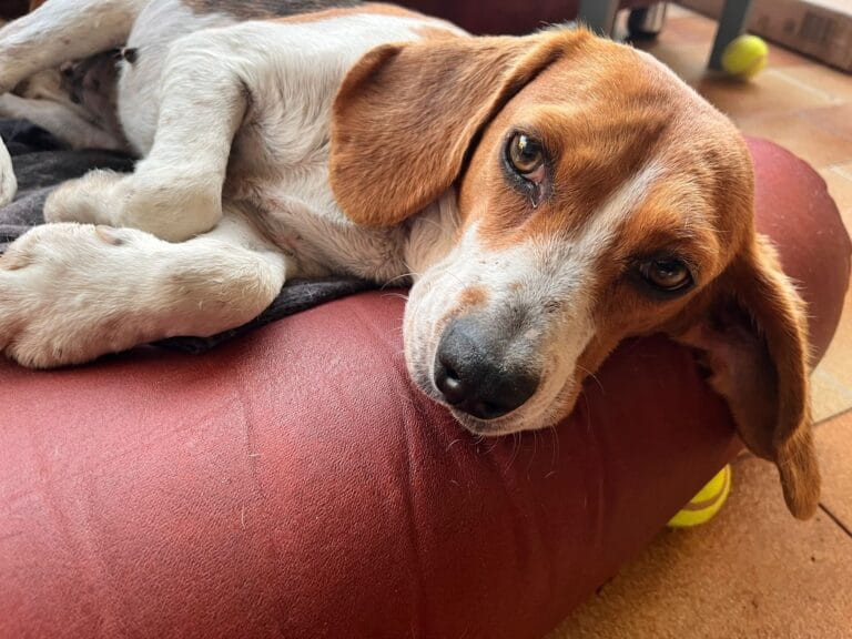 WhatsApp Image 2026-01-13 at 10.23.10 (2)