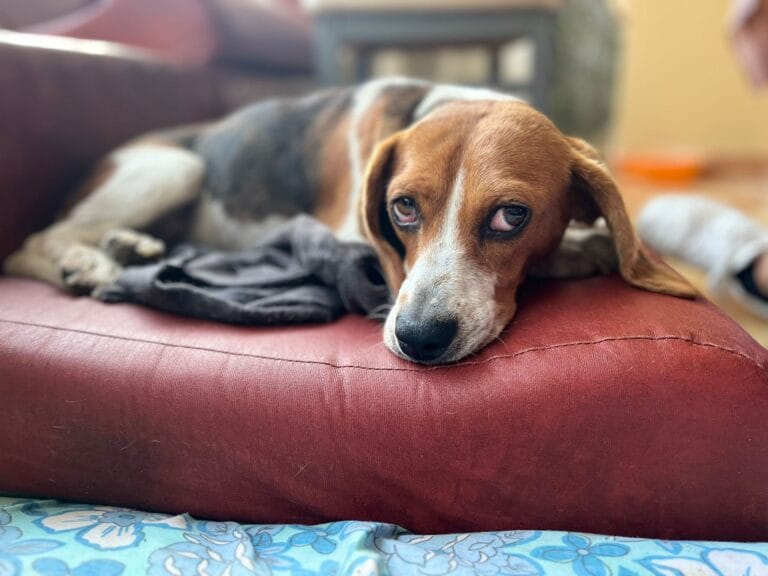 WhatsApp Image 2026-01-13 at 10.23.11 (4)