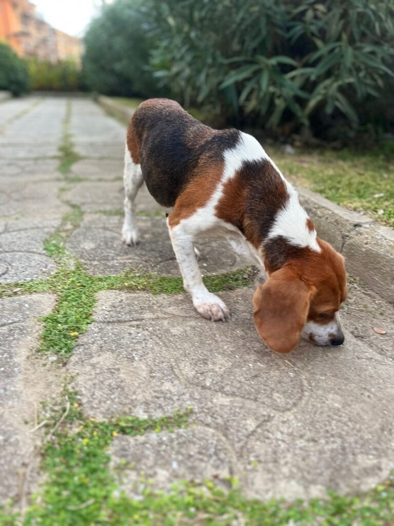 WhatsApp Image 2026-01-13 at 10.23.12 (1)