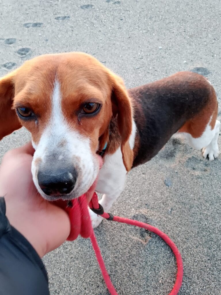 WhatsApp Image 2026-01-13 at 10.40.25