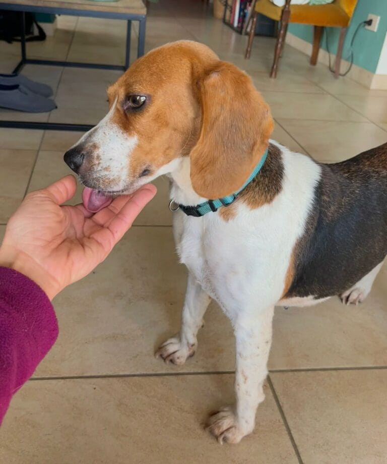 WhatsApp Image 2026-02-13 at 17.37.22 (1) 2.21.22 PM