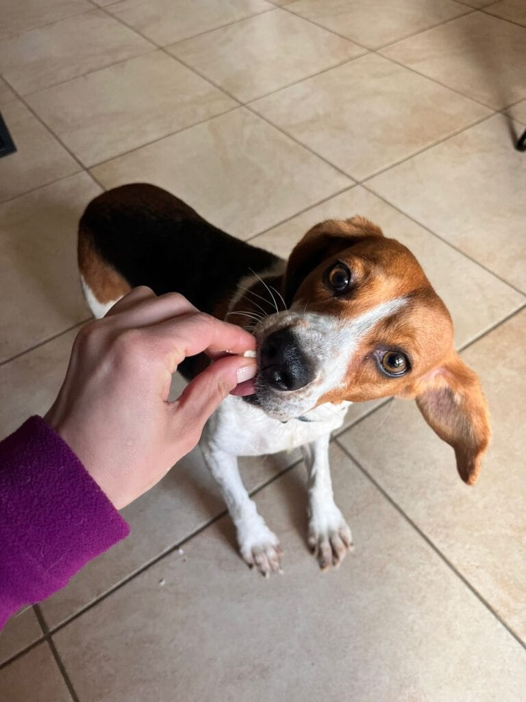 WhatsApp Image 2026-02-13 at 17.37.23 (1) 2.21.22 PM