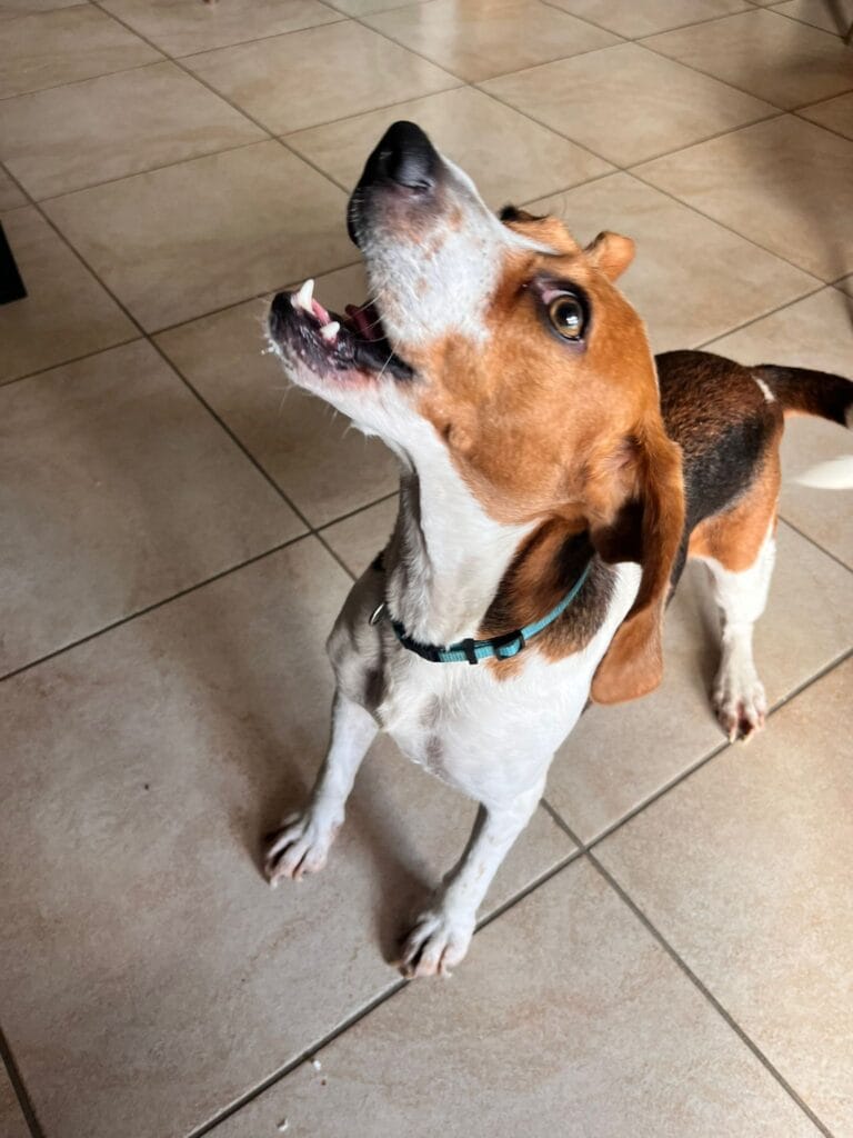 WhatsApp Image 2026-02-13 at 17.37.23 (2) 2.21.22 PM