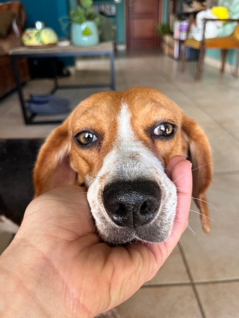 WhatsApp Image 2026-02-13 at 17.37.23 2.21.22 PM