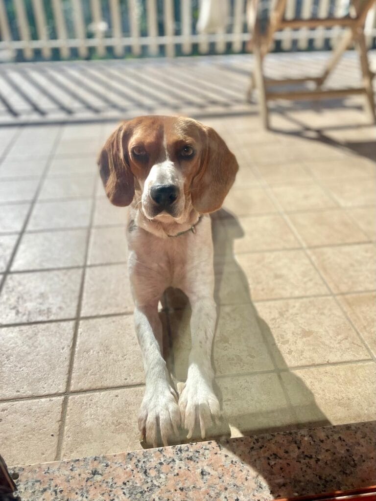 WhatsApp Image 2026-02-15 at 11.59.11 (1)