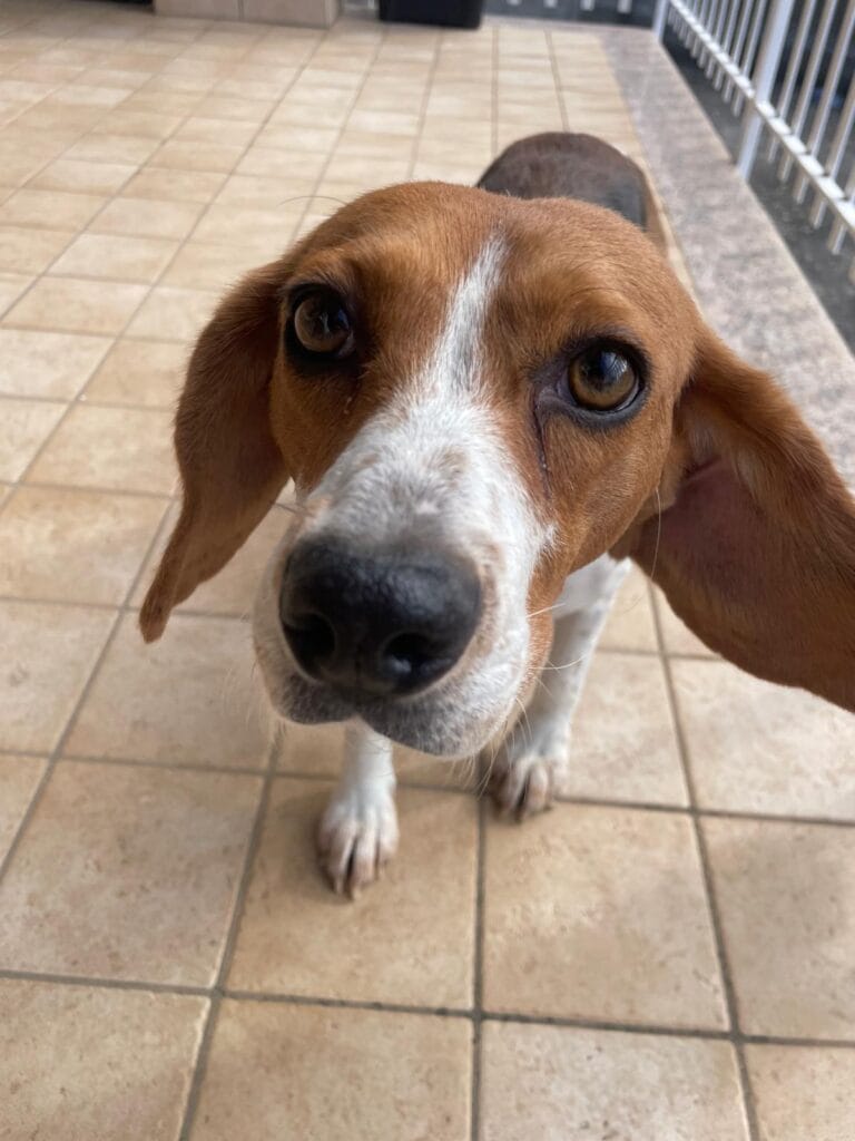 WhatsApp Image 2026-02-15 at 11.59.11