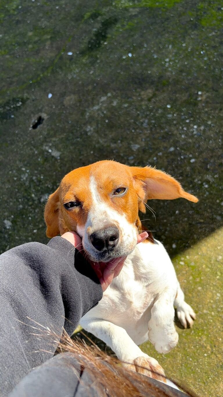 WhatsApp Image 2026-02-27 at 08.04.58