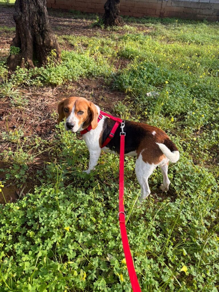 WhatsApp Image 2026-02-27 at 16.18.10 (1)