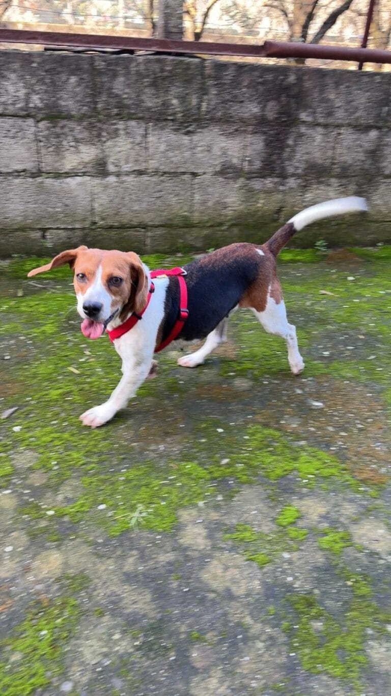 WhatsApp Image 2026-02-27 at 16.18.10 (3)