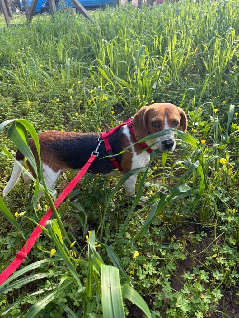 WhatsApp Image 2026-02-27 at 16.18.10