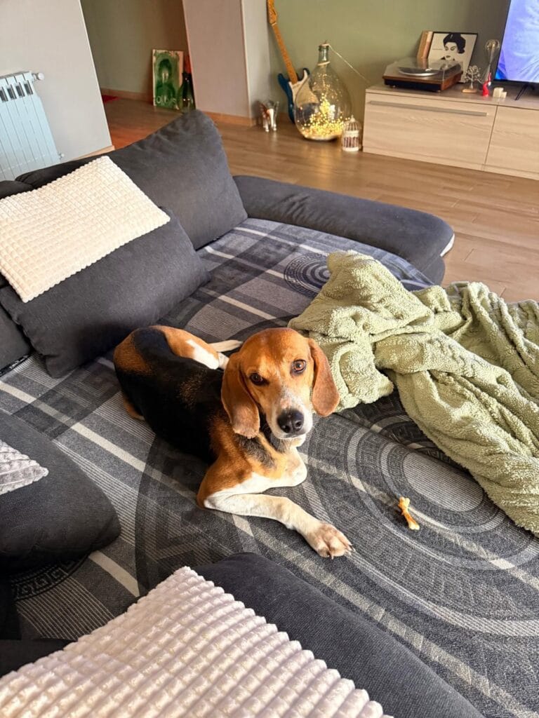 WhatsApp Image 2026-01-31 at 19.26.52 (1)