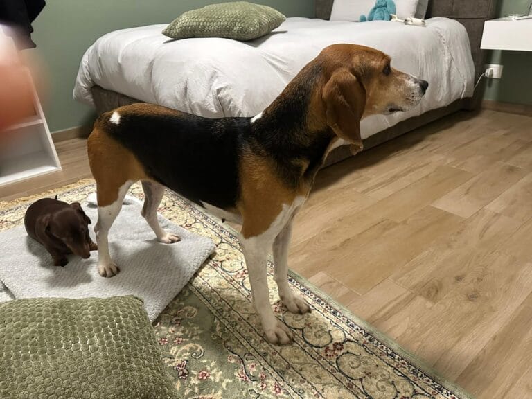 WhatsApp Image 2026-01-31 at 19.26.54