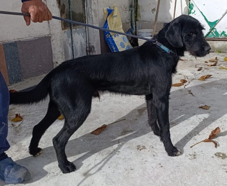 WhatsApp Image 2026-02-12 at 17.46.08