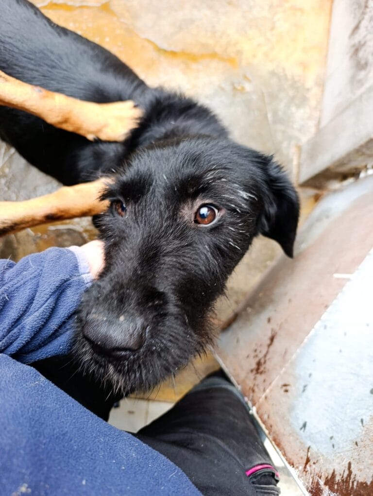 WhatsApp Image 2026-02-12 at 17.46.09 (1)