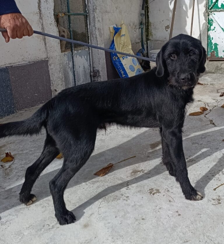 WhatsApp Image 2026-02-12 at 17.46.09