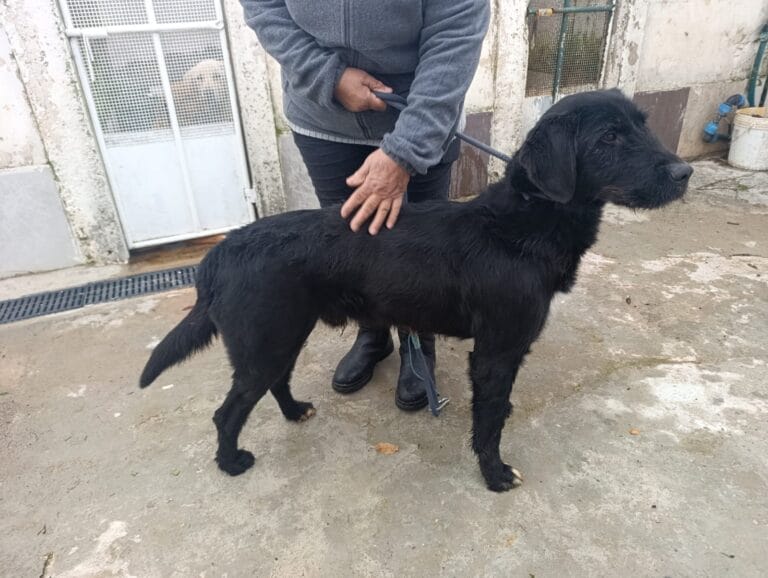 WhatsApp Image 2026-02-12 at 17.46.11 (2)