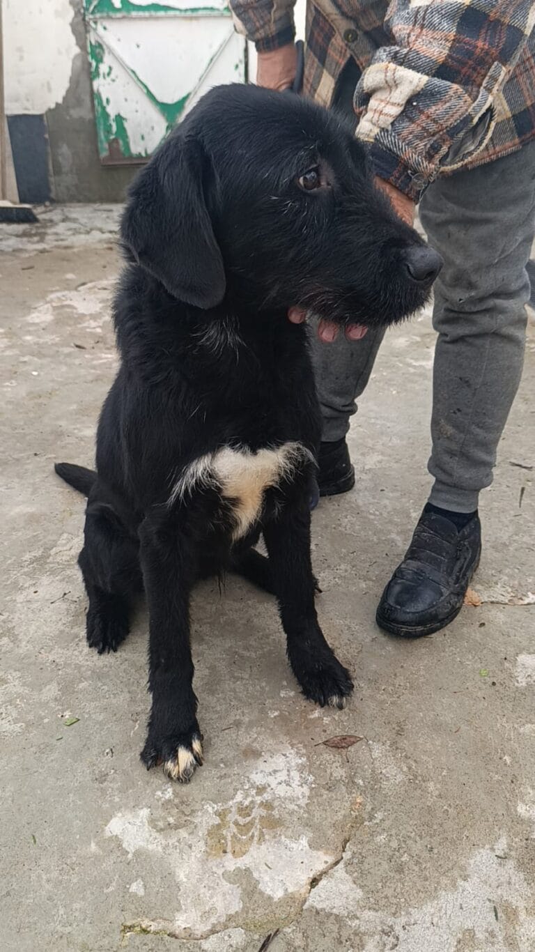 WhatsApp Image 2026-02-12 at 17.46.11 (3)