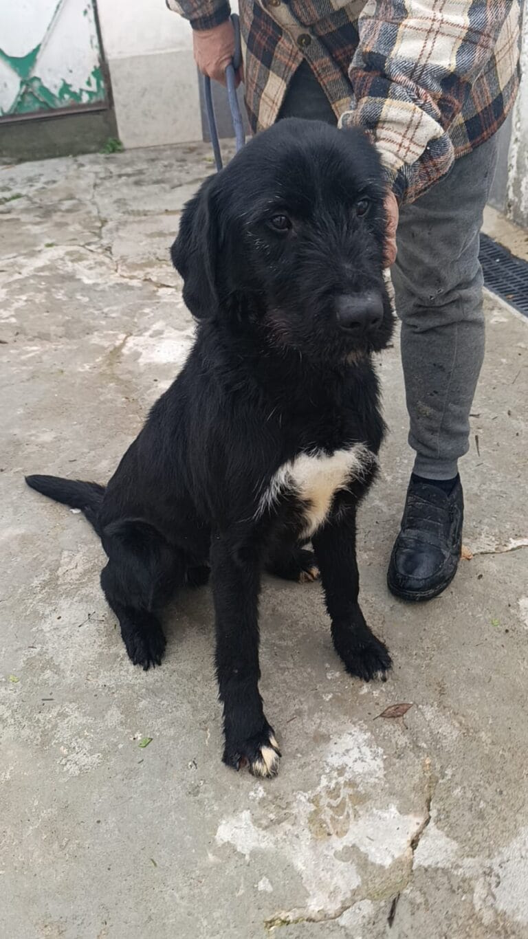 WhatsApp Image 2026-02-12 at 17.46.11 (4)