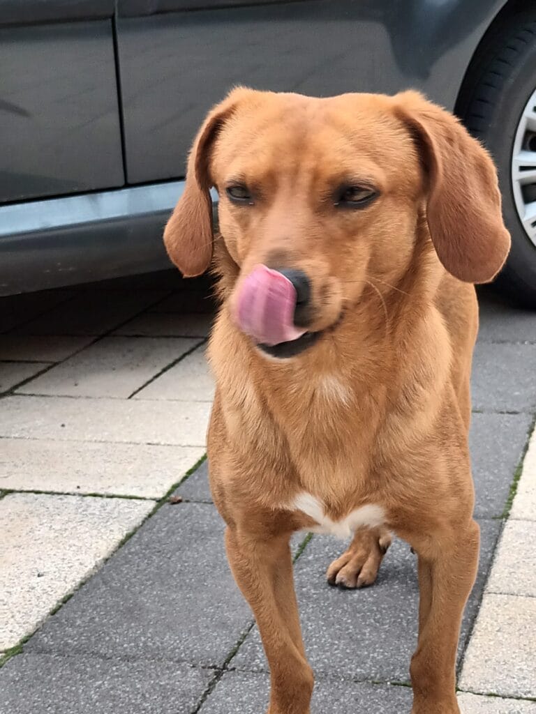 WhatsApp Image 2026-02-17 at 19.13.03 (1)