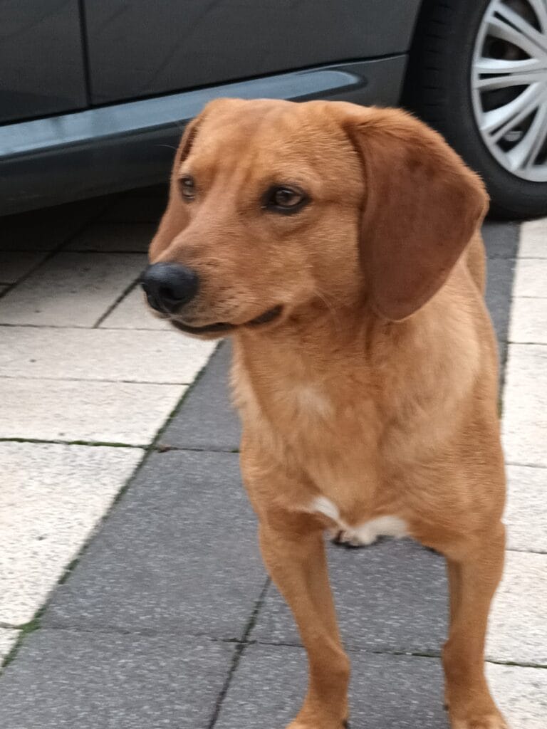 WhatsApp Image 2026-02-17 at 19.13.03