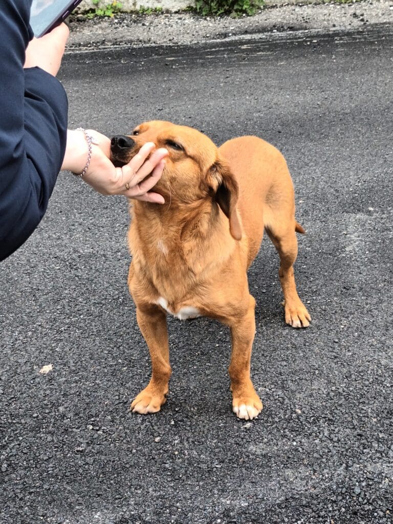 WhatsApp Image 2026-02-17 at 19.13.04 (1)