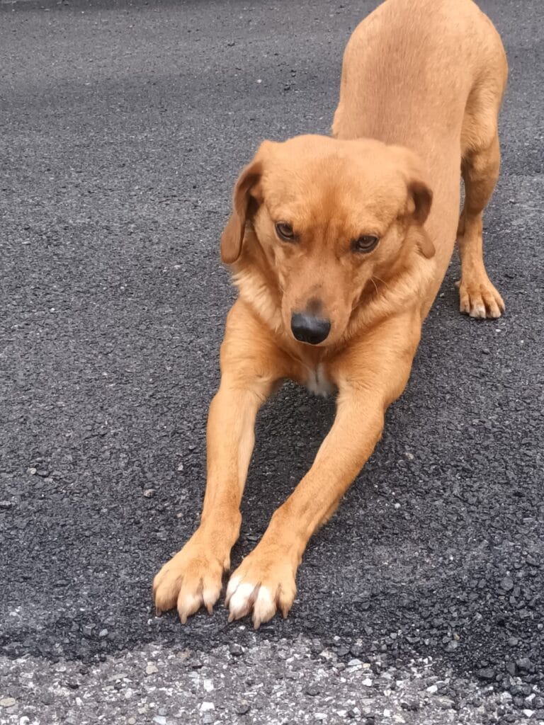 WhatsApp Image 2026-02-17 at 19.13.04