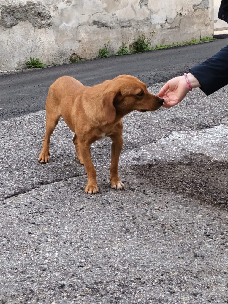 WhatsApp Image 2026-02-17 at 19.13.05 (1)