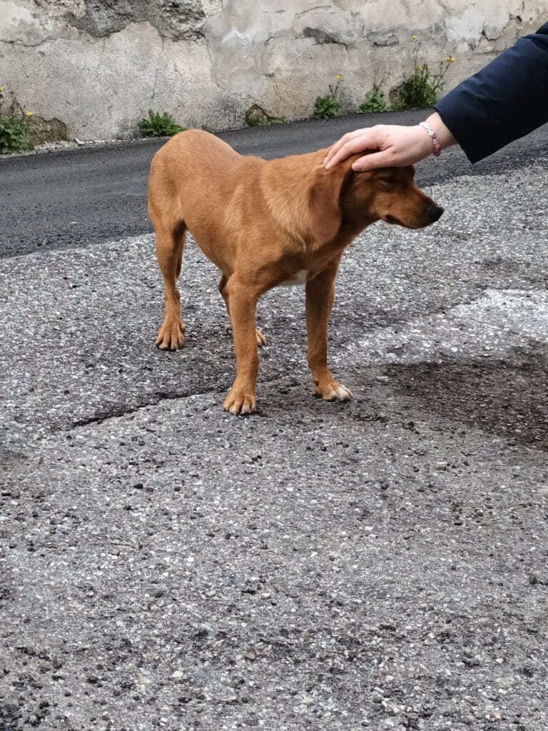 WhatsApp Image 2026-02-17 at 19.13.05