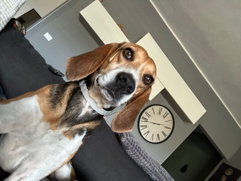 WhatsApp Image 2026-02-28 at 08.11.22 (1)