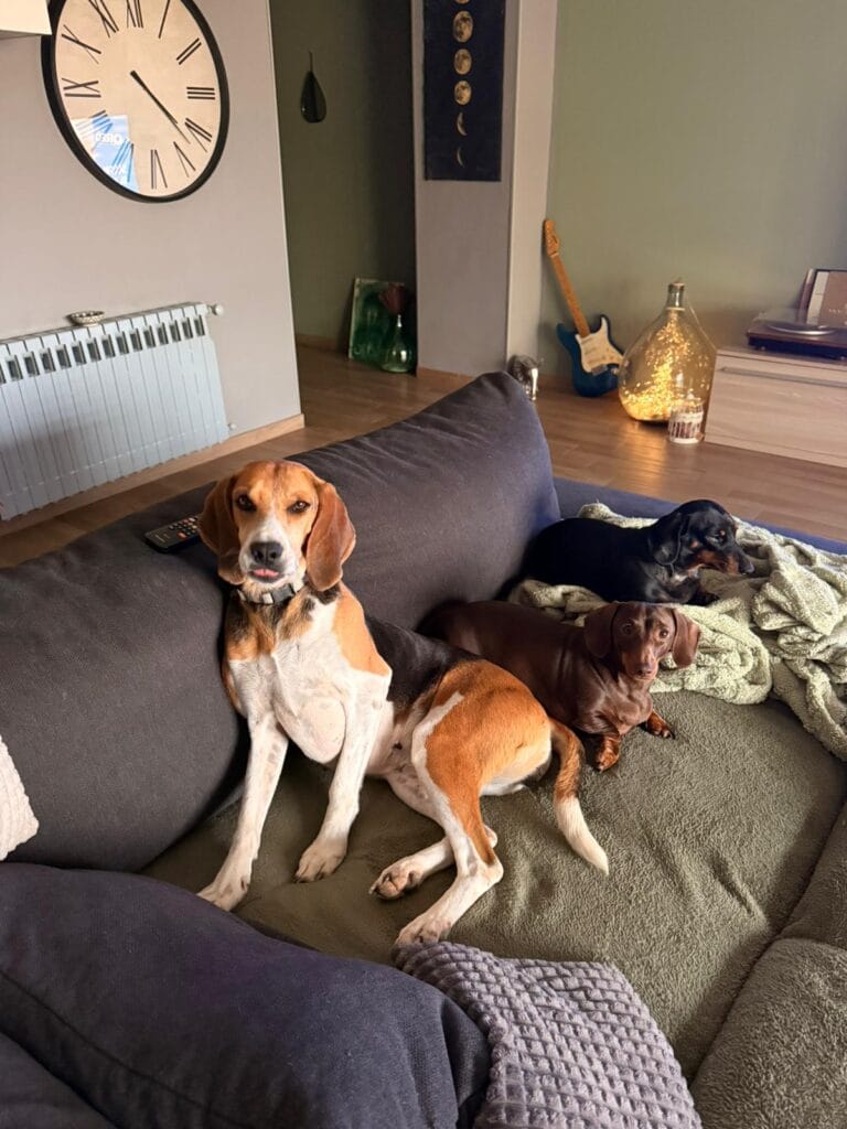 WhatsApp Image 2026-03-04 at 17.00.23