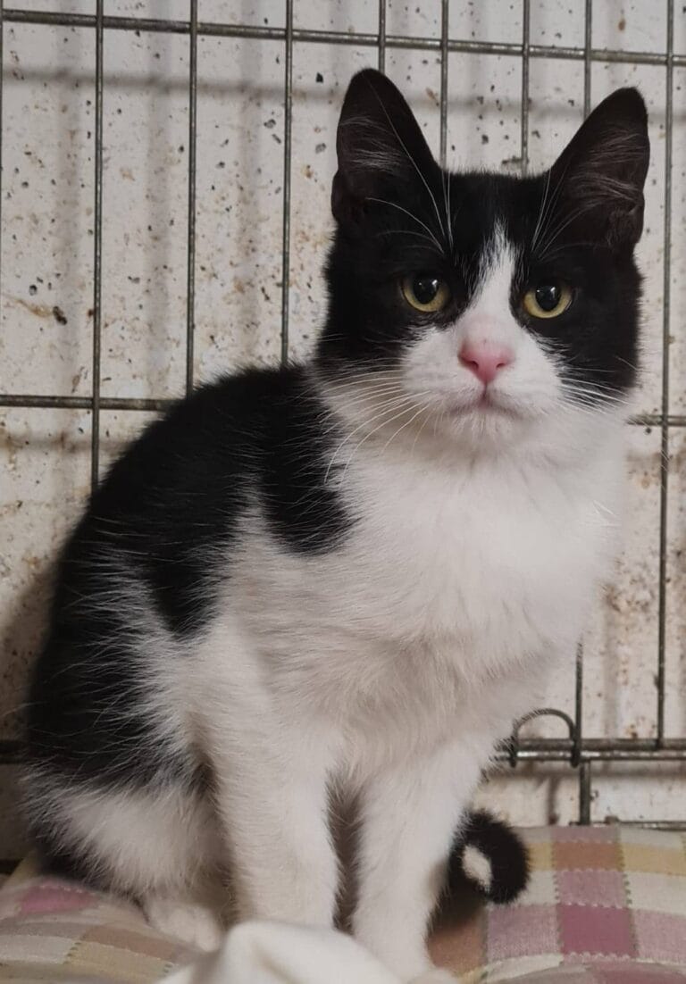 633928829_1229729786018452_4886750504810879180_n