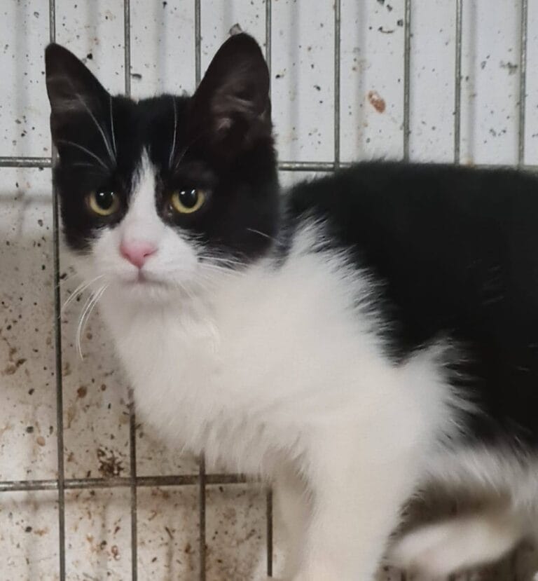 634202262_1229729826018448_1510599759924189147_n