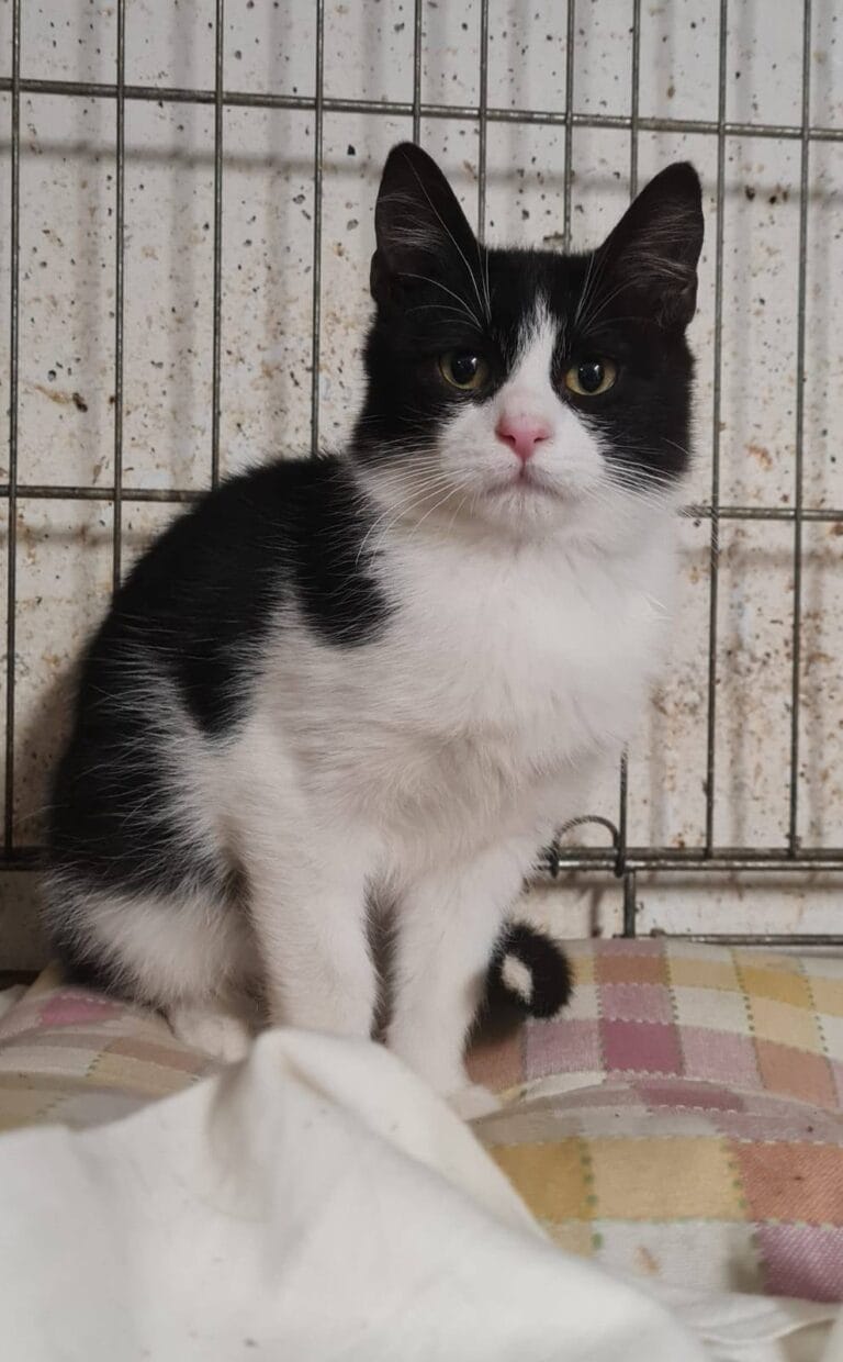 636151440_1229729582685139_6598181769958196590_n