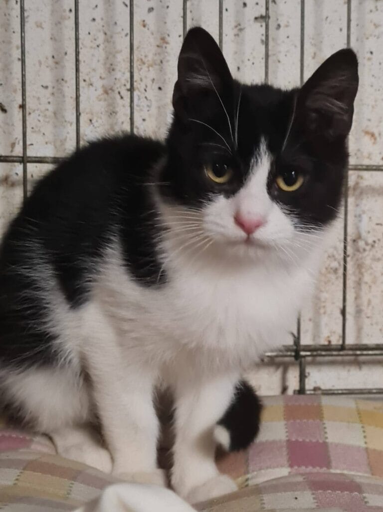 637523966_1229729662685131_6098714406785148057_n