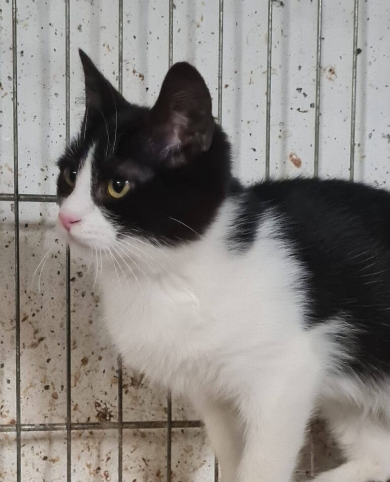 637928896_1229729722685125_8987594319188632809_n