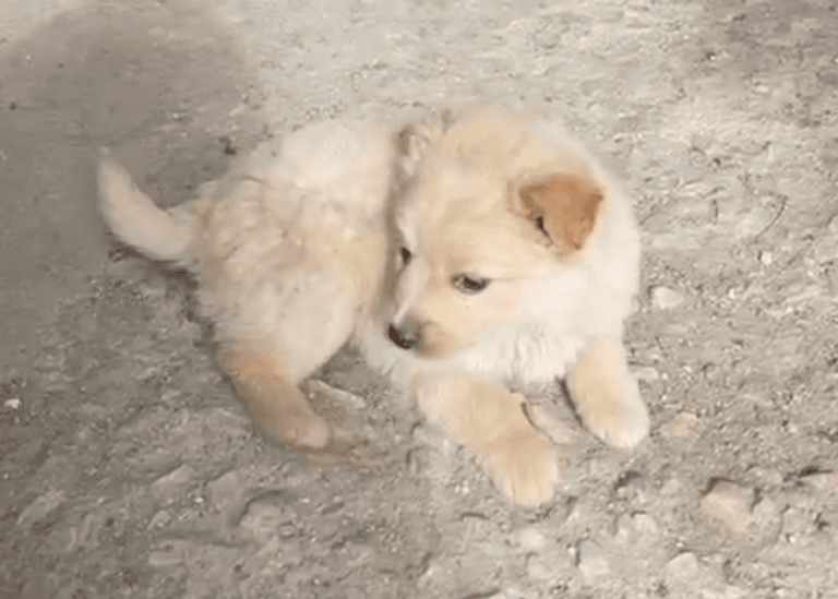 Screenshot 2026-02-25 at 3.28.11 PM