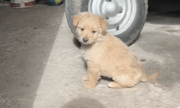 Screenshot 2026-02-25 at 3.28.38 PM