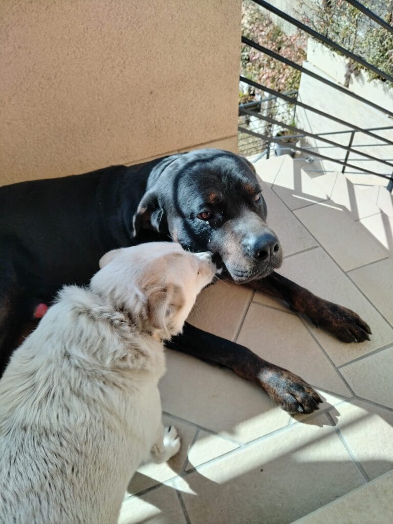 WhatsApp Image 2026-02-06 at 19.25.15 (2)