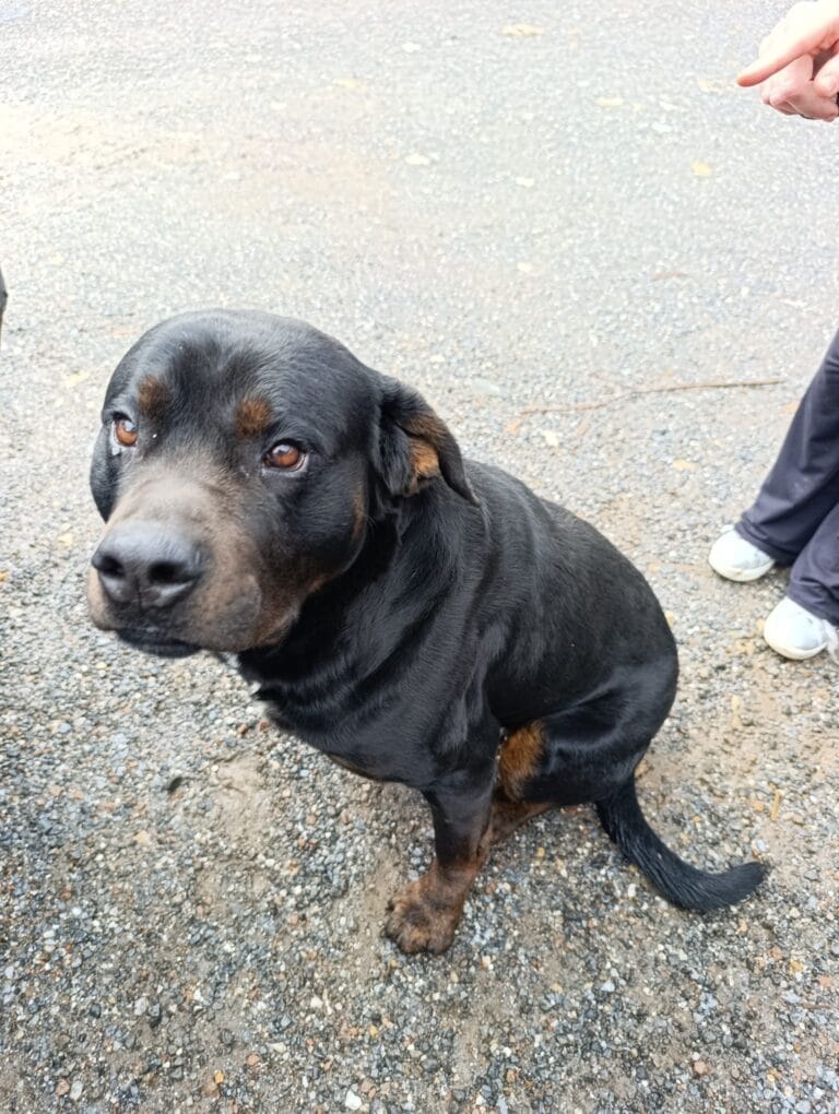 WhatsApp Image 2026-02-06 at 19.25.16 (1)