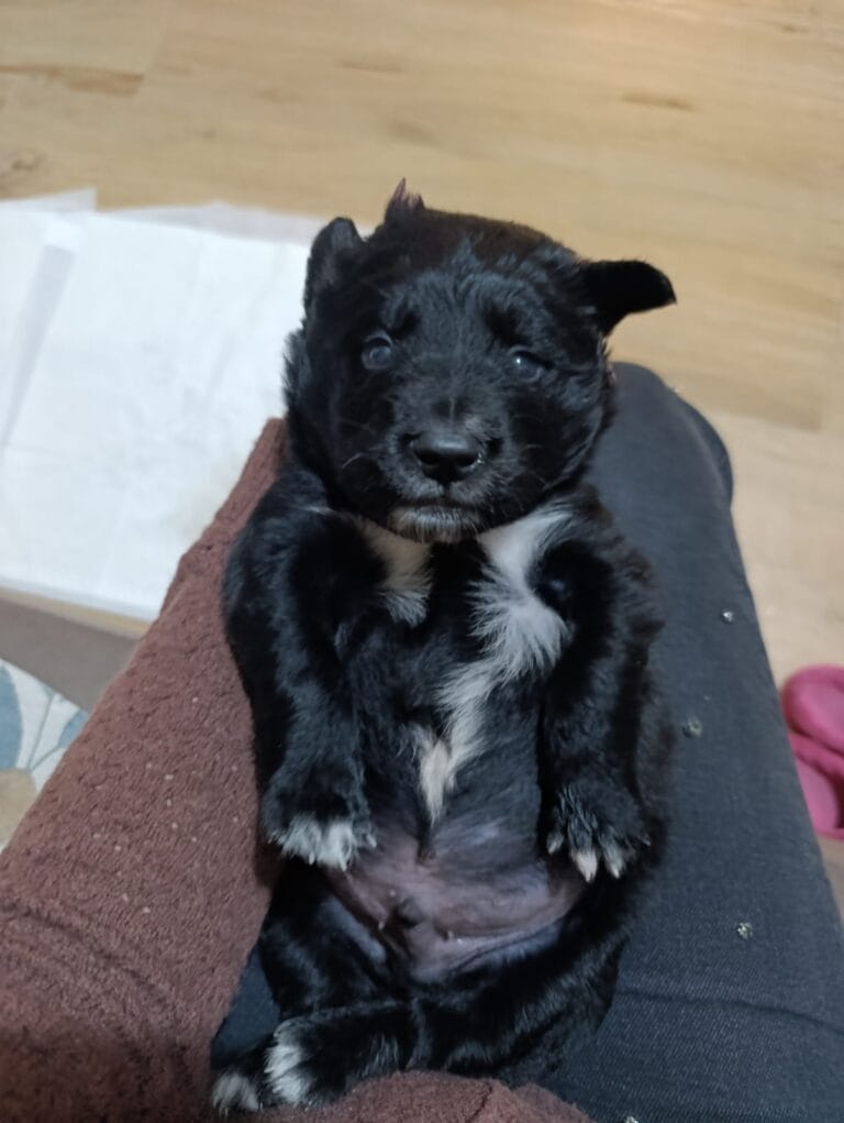 WhatsApp Image 2026-02-15 at 19.37.53