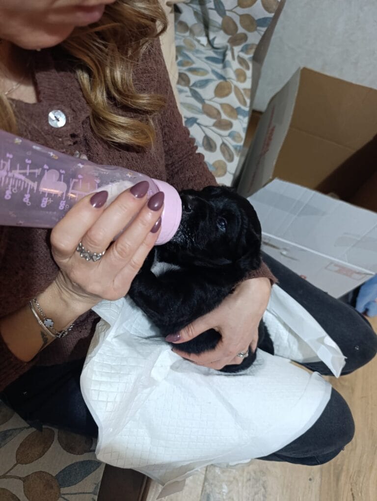 WhatsApp Image 2026-02-15 at 19.37.54