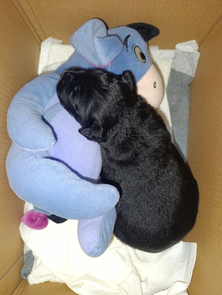 WhatsApp Image 2026-02-15 at 19.37.55